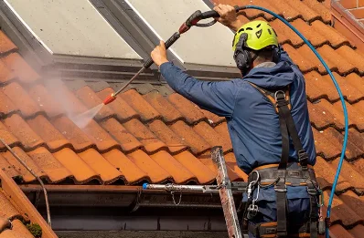Démoussage et hydrofuge de toiture à Cléguer